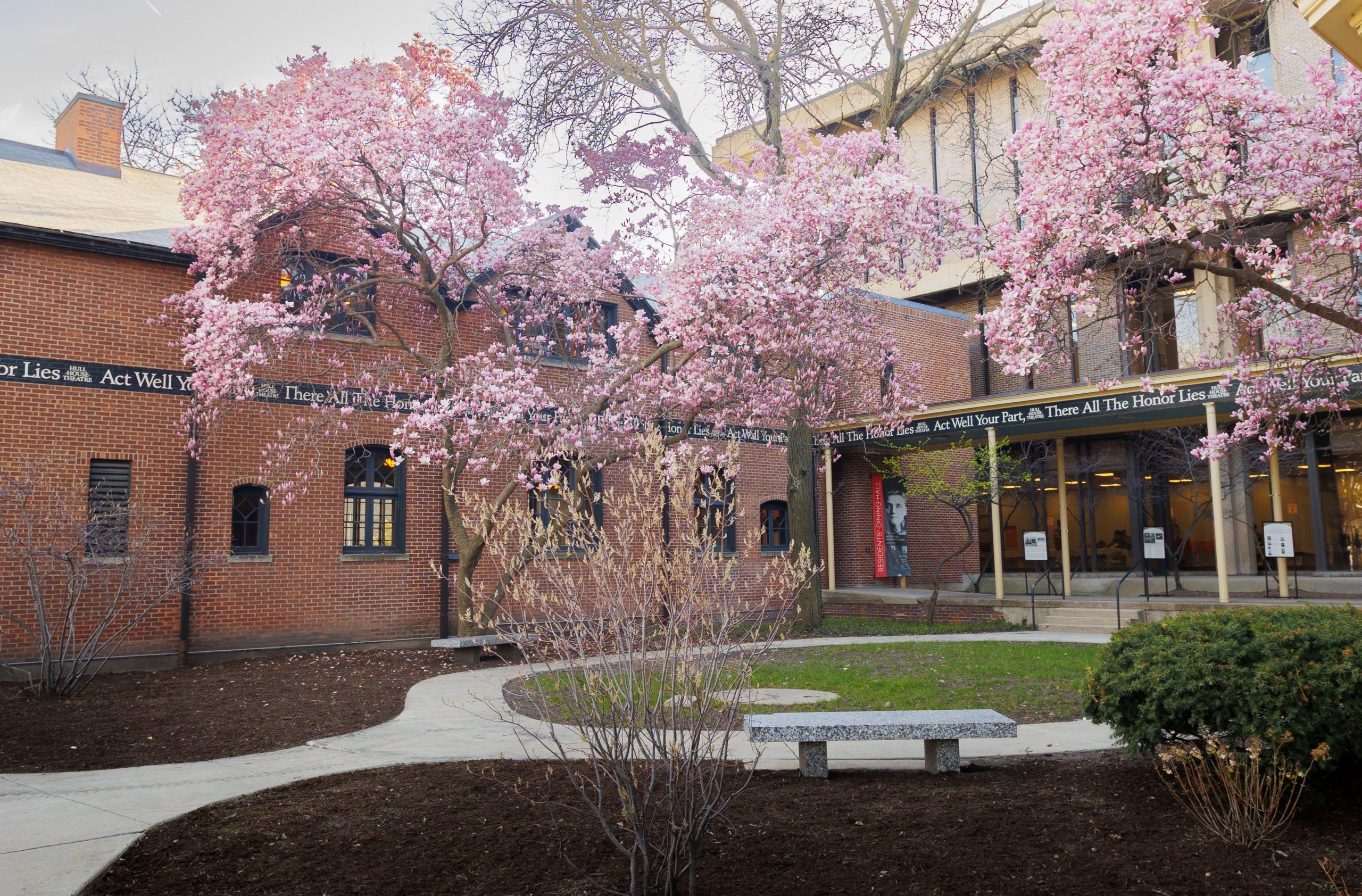 A courtyard with blooming pink cherry blossom trees, brick buildings, and a winding sidewalk. The buildings have large windows and a quote wraps around the upper facade. Benches and trimmed bushes are in the landscaped area.