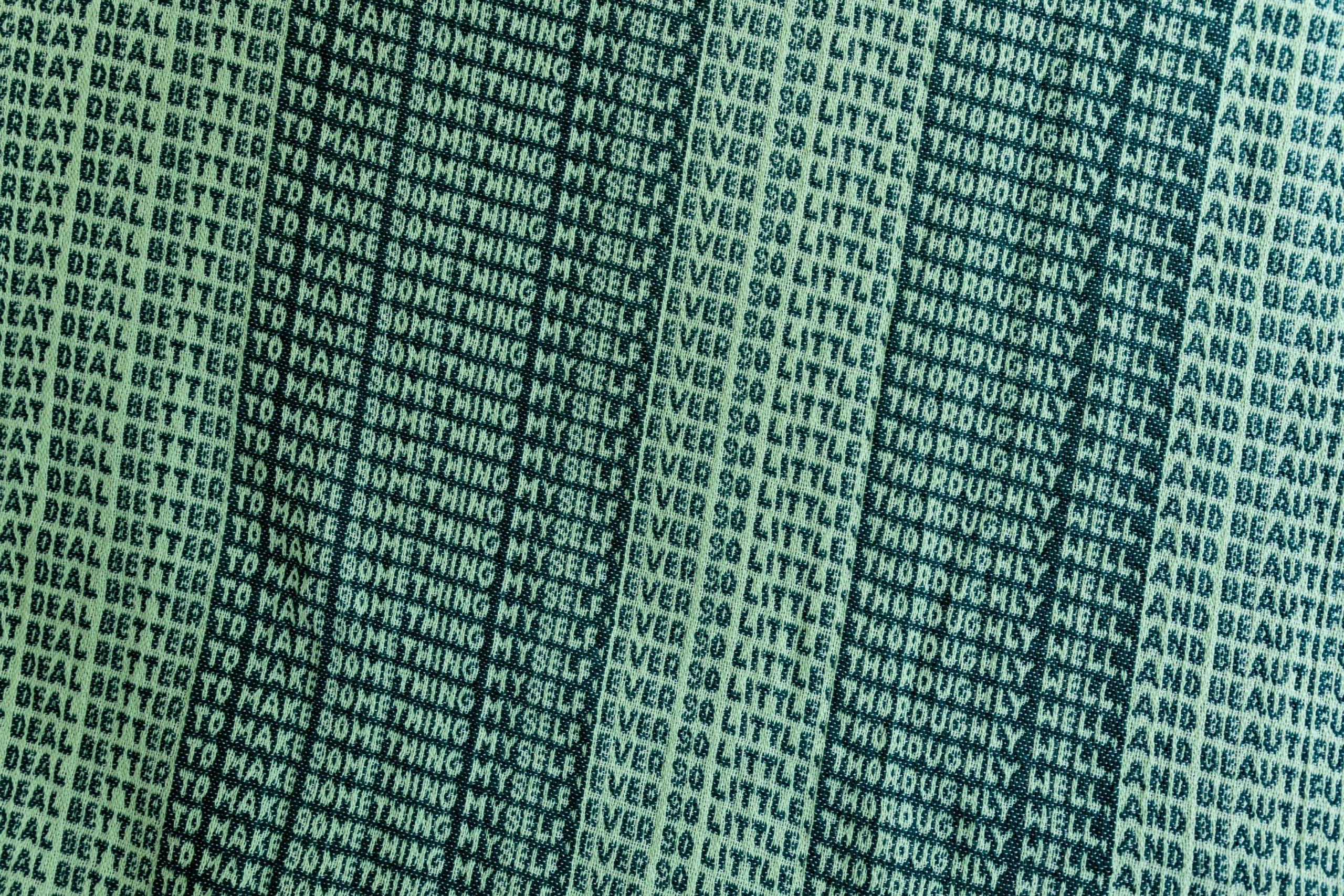Text in dark, vertical columns on a light green background, repeating phrases like TO MAKE SOMETHING MYSELF and NEVER SO LITTLE, creating a patterned and textured effect across the image.