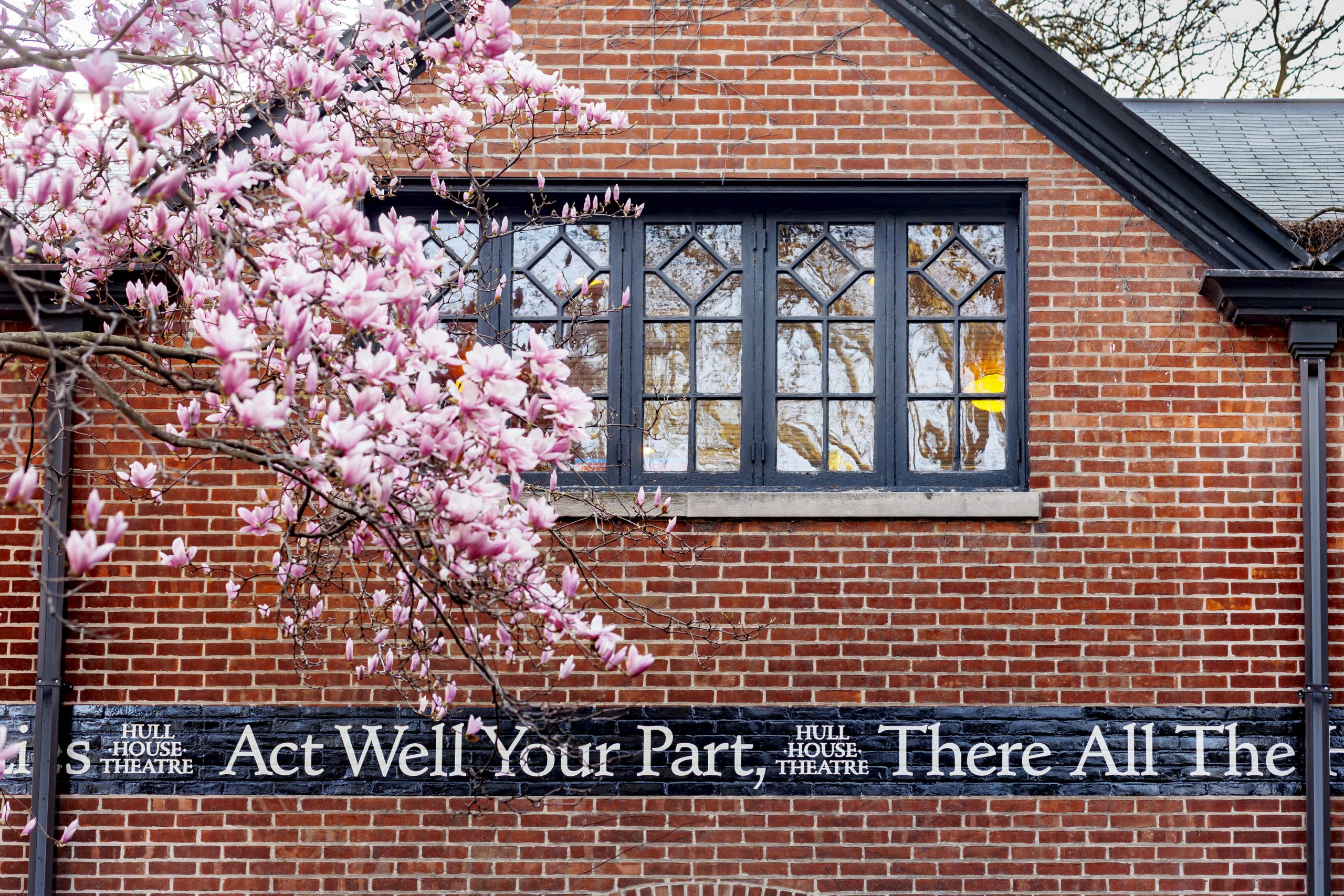 A blooming tree with pink flowers stands in front of a brick building with large, decorative windows. The building has a sign reading HULL HOUSE THEATRE Act Well Your Part There All The.