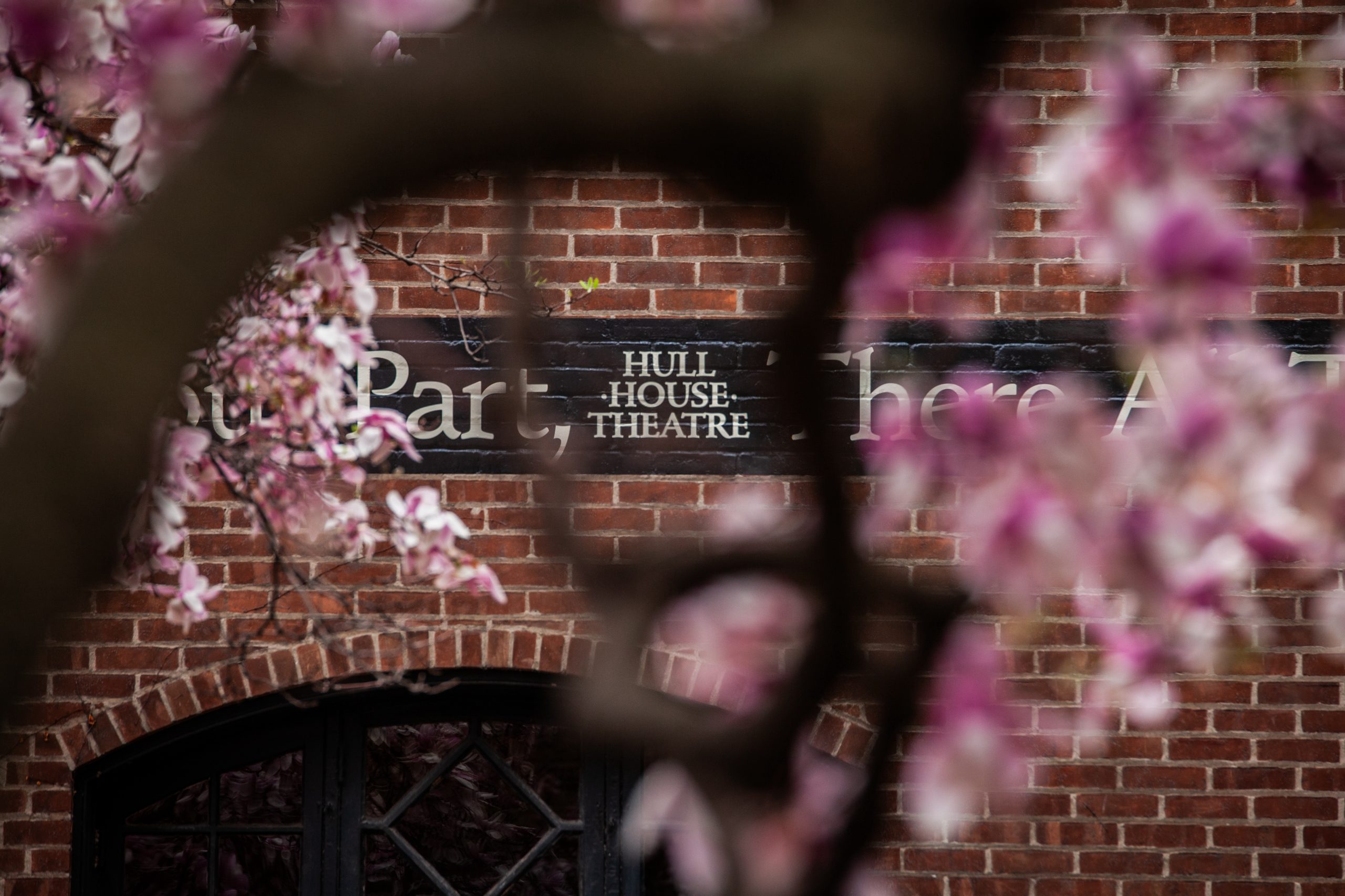 Pink flowers and tree branches frame a brick building with a sign reading Hull House Theatre partially visible on the wall.
