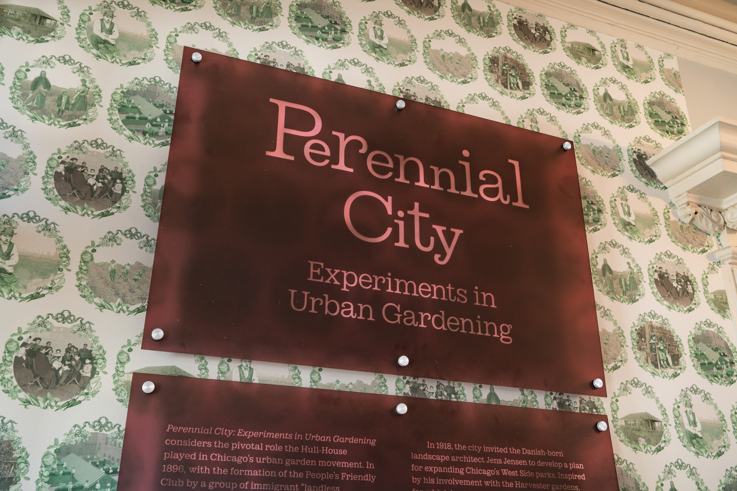 A maroon sign with white text reads, “Perennial City: Experiments in Urban Gardening,” mounted on a wall with green and white wallpaper featuring vintage-style illustrations.