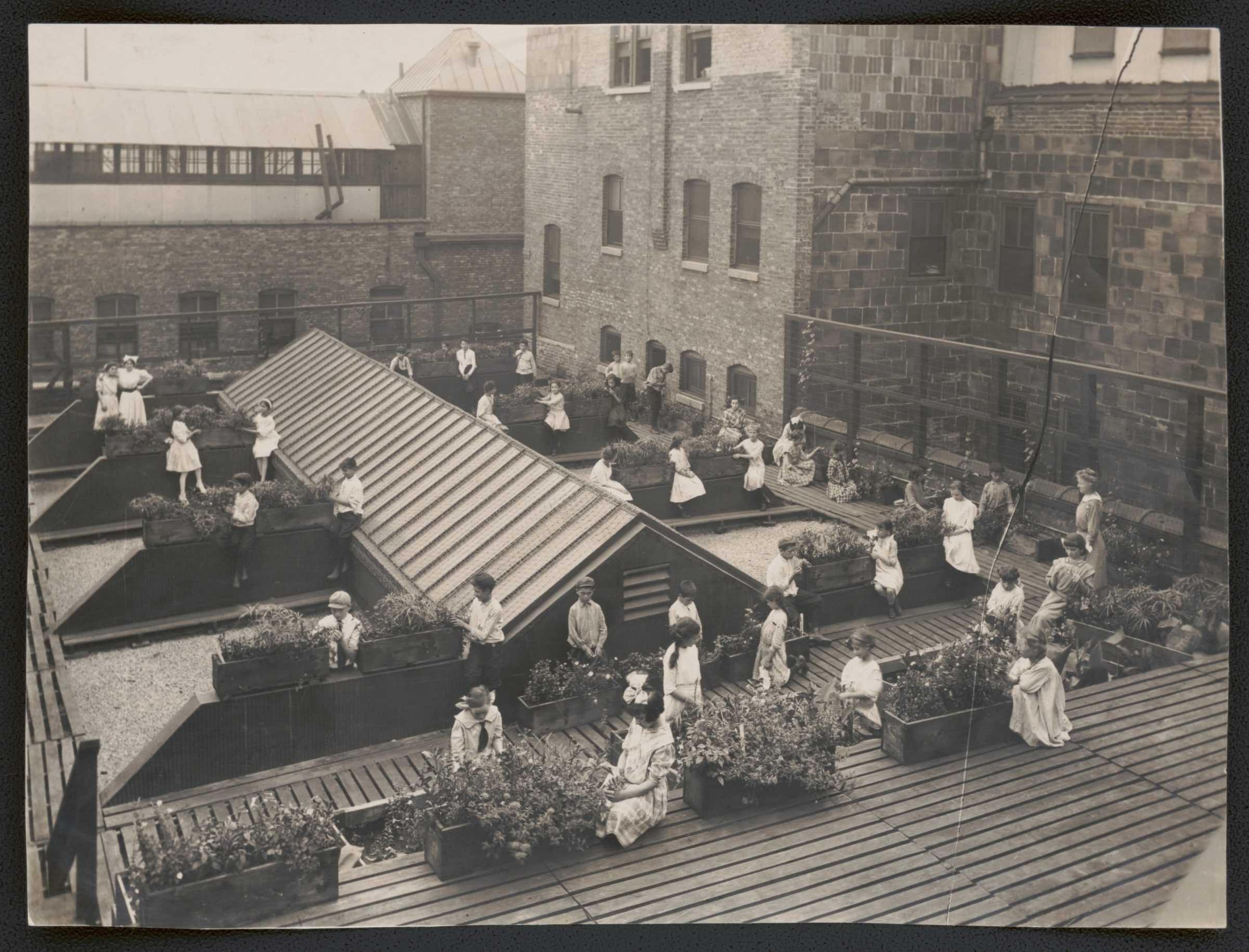 Black-and-white photo of women and children sitting and standing in a rooftop garden, surrounded by planters and brick buildings, with some people tending to plants or conversing.