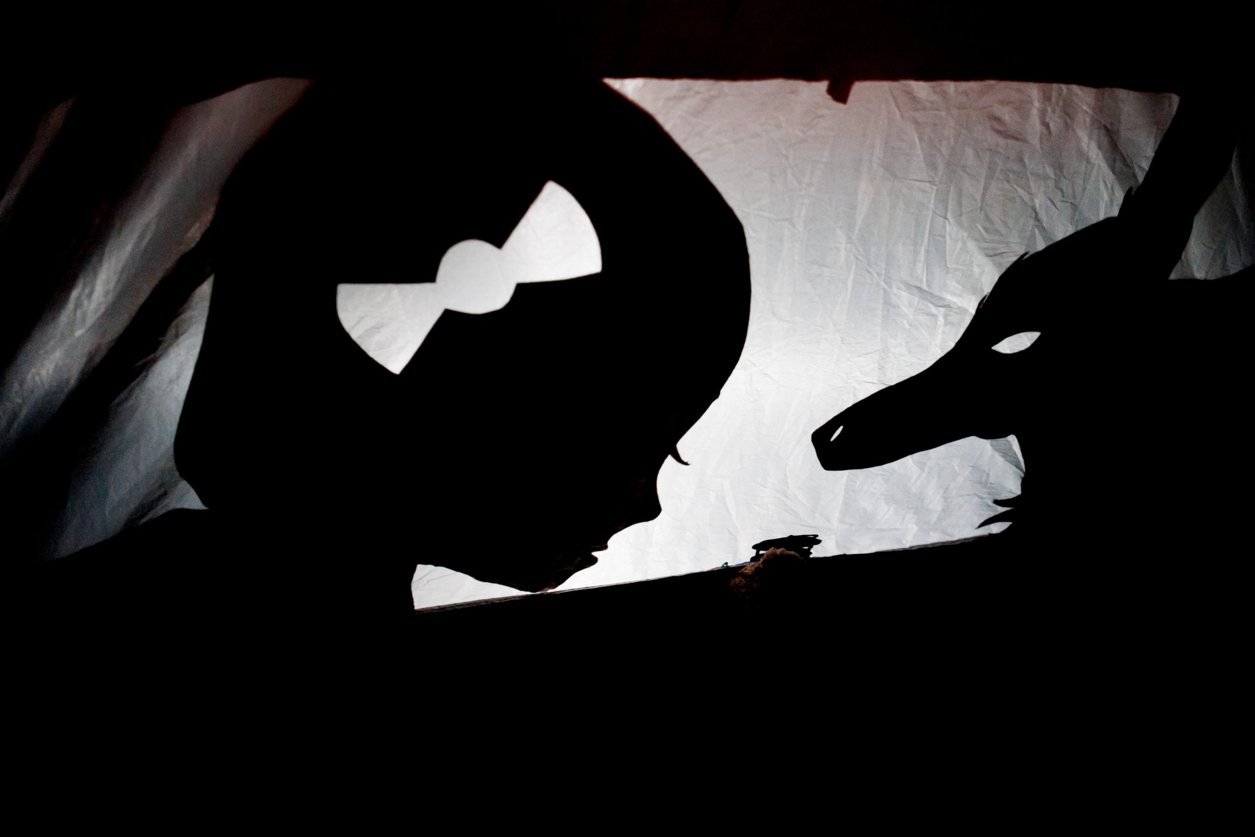 Silhouettes of a person with a bow in their hair facing a dragon-like creature, both set against a white, backlit background, evoking a sense of storytelling or shadow puppetry.