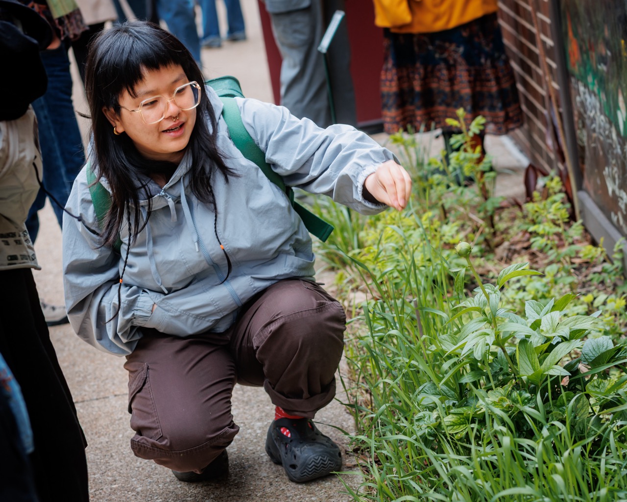 A person with glasses and a gray jacket crouches on a sidewalk, reaching out toward green plants growing along the edge. Others stand nearby in the background.