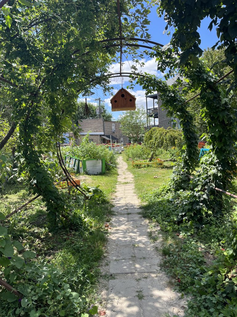 A stone path lined with lush green plants leads through an archway covered in vines toward a small wooden birdhouse and a community garden with raised beds and houses in the background on a sunny day.