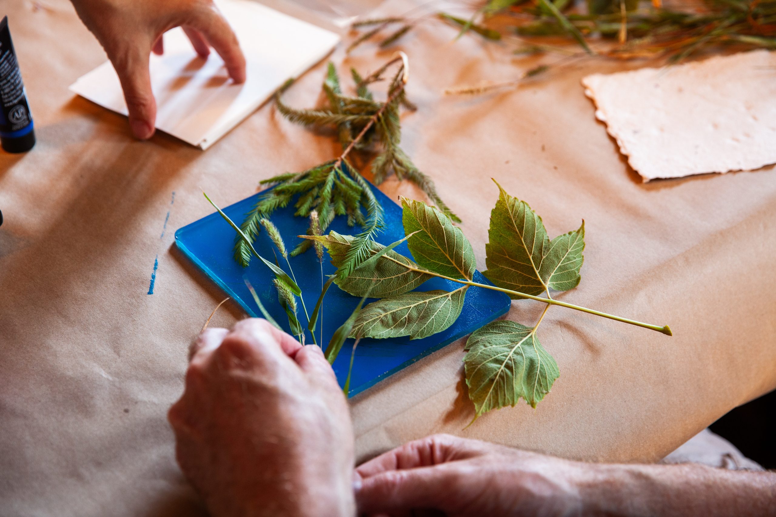 Two pairs of hands arranging green leaves and plant stems on a blue surface atop a brown paper-covered table, with sheets of paper and other plant materials nearby, suggesting a nature craft activity.