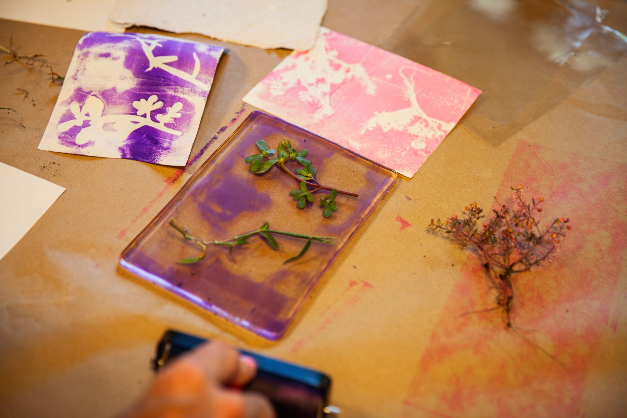 A hand rolls ink onto a clear plate with green plant cuttings, surrounded by botanical print artworks, brown paper, and dried twigs on a tabletop.