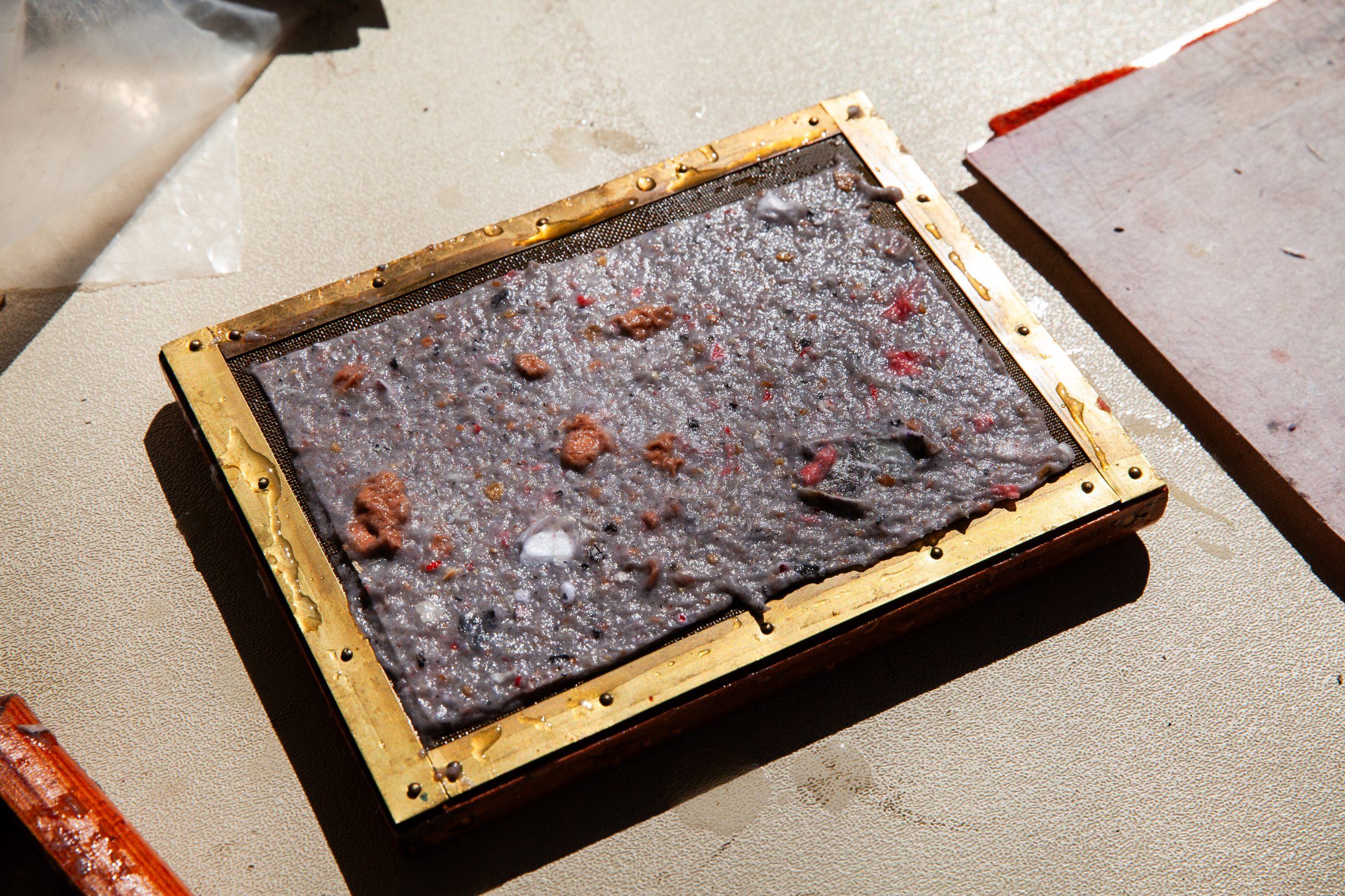 A wooden frame holds a wet, textured sheet of handmade paper with visible fibers and bits of organic material, resting on a light-colored tabletop in bright sunlight.