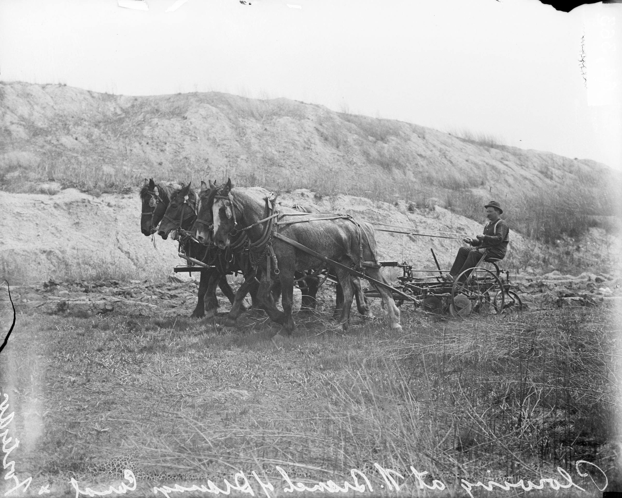 A black-and-white, historic photo of a man in a hat driving a horse-drawn agricultural implement. He sits on a metal seat pulled by a team of three horses across a field, with a sloping, barren hillside in the background.