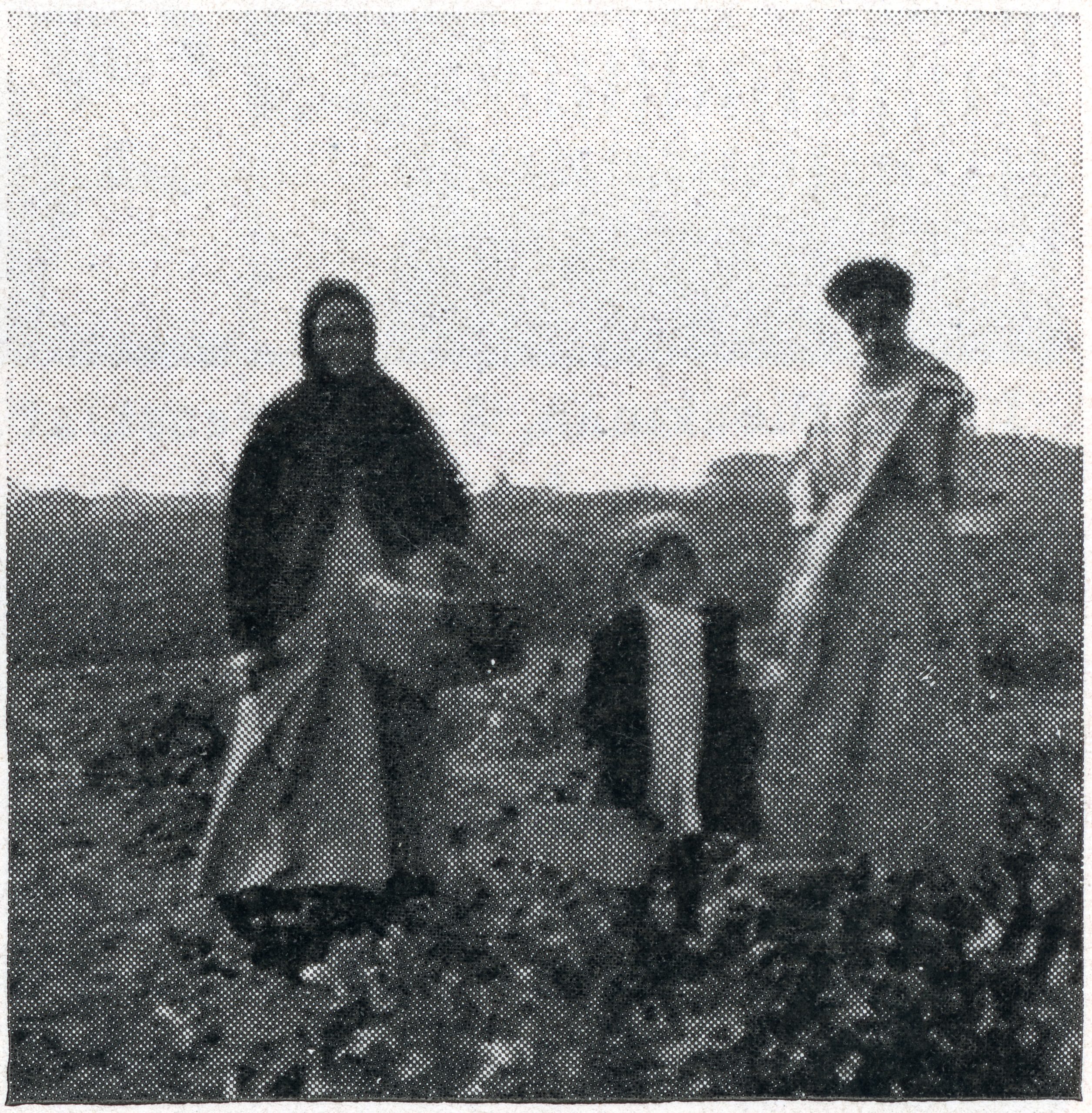 Three women stand in a field, wearing long dresses and head coverings, with one woman seated or crouching among crops. The image is black-and-white and appears grainy, suggesting it is historical.