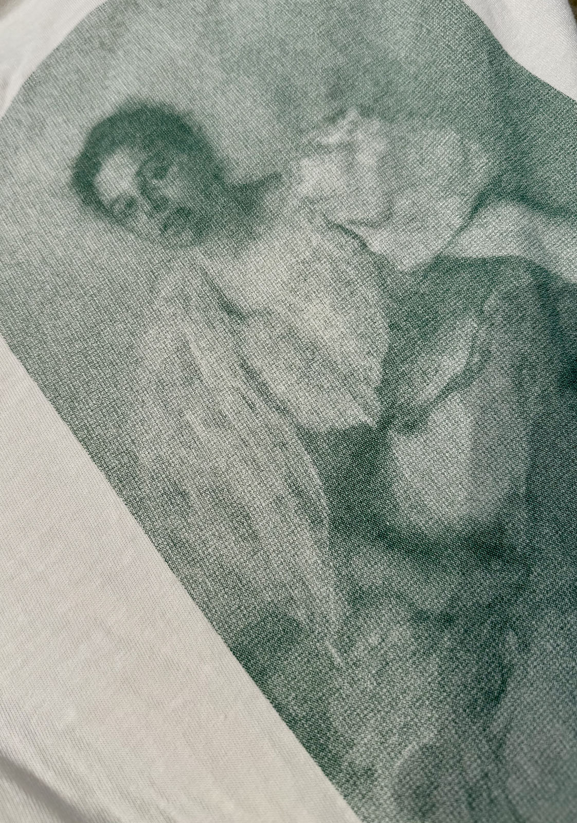 A close-up of fabric with a faded, monochrome green print depicting a person in Victorian-style clothing, appearing to be seated or reclining.